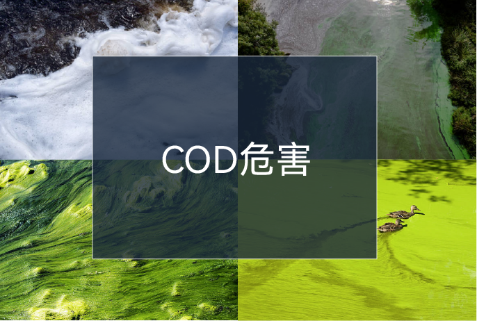 BCGAME(�й�)�ٷ���վ