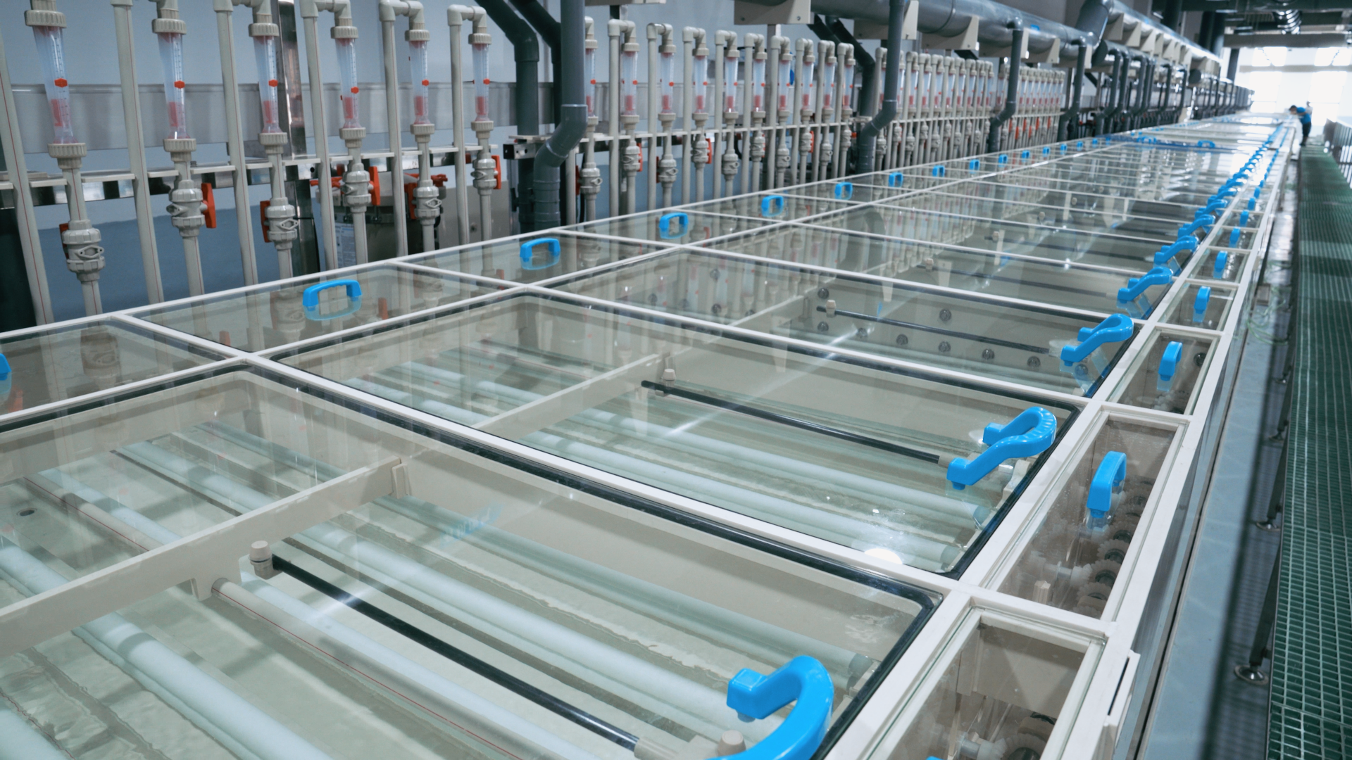 BCGAME(�й�)�ٷ���վ